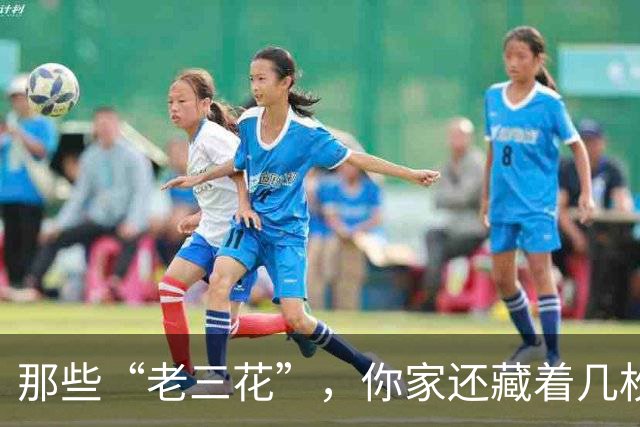 那些“老三花”，你家还藏着几枚宝贝？